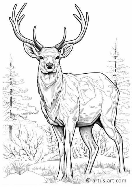 Mule deer Coloring Page